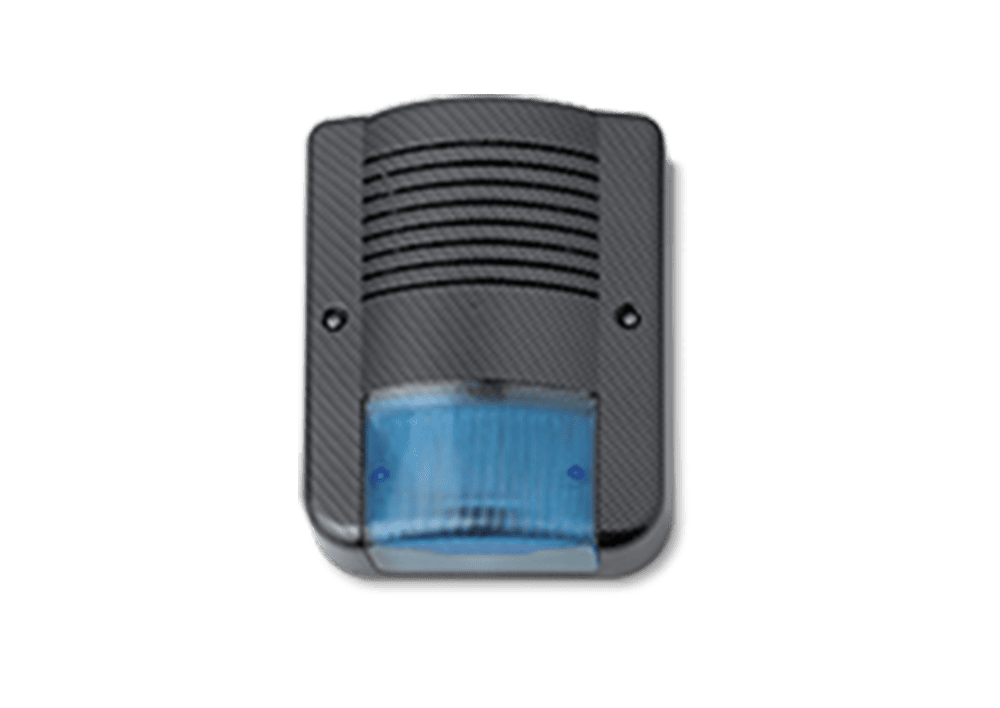CITY WS CARBON